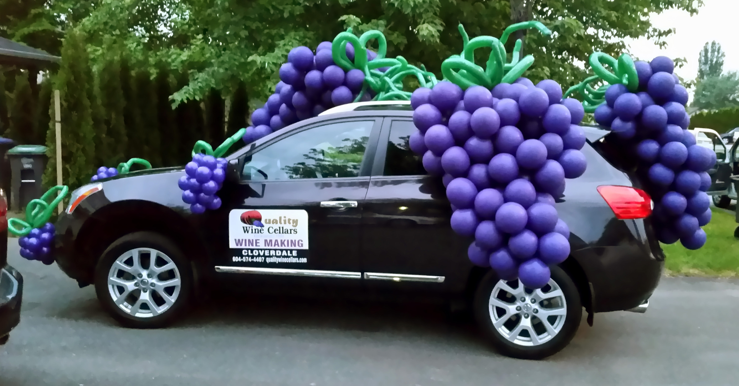 Festival balloons on car for wine makers